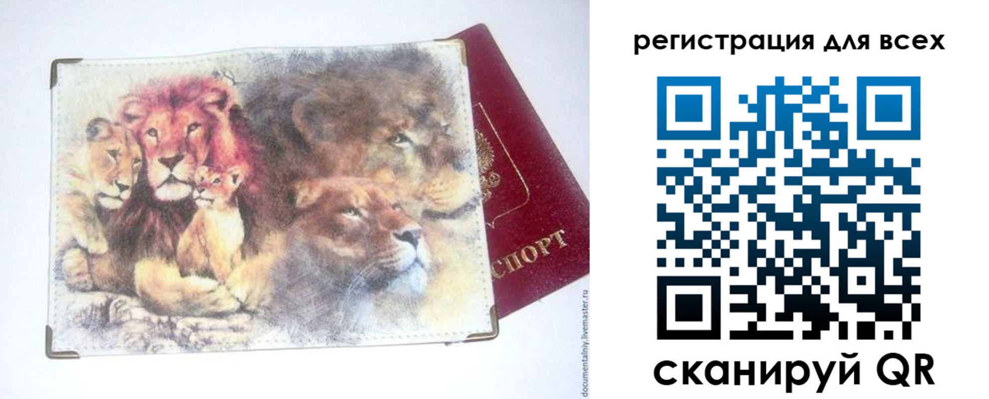 прописка законно в Светлом